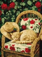 Malowanie po numerach - Kot w ogrodzie 30x40cm - Malowanie po numerach - miniaturka - grafika 1