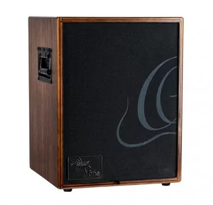 Ortega Ortega CONE Walnut Design wzmacniacz do gitary akustycznej, combo 100W - Wzmacniacze gitarowe - miniaturka - grafika 1
