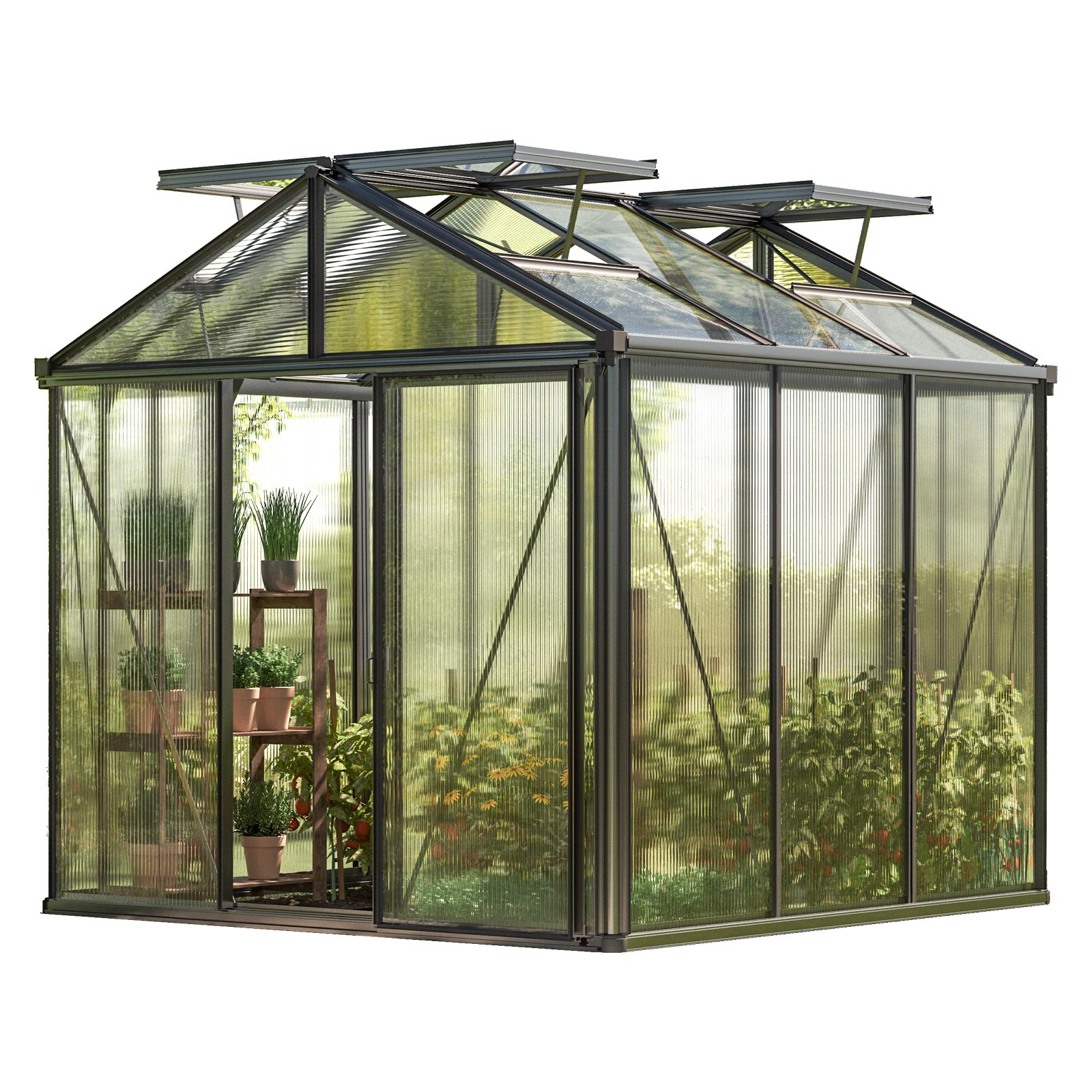GFP szklarnia Diamas 21 Light 235x235 cm - grube panele poliwęglanowe ok. 12 mm - kolor: antracytowy
