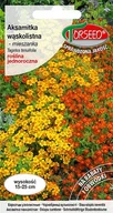 Nasiona i cebule - Nasiona Aksamitka wąskolistna mieszanka 0,5g - Torseed - miniaturka - grafika 1