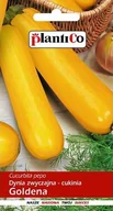 Nasiona i cebule - Cukinia Goldena 3 g POLAN - miniaturka - grafika 1