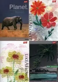 Zeszyt A5 w linie 80 kartek 10 sztuk mix - St. Majewski - Zeszyty szkolne - miniaturka - grafika 1