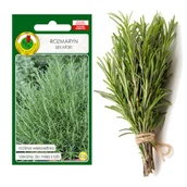 Nasiona i cebule - ROZMARYN PRZYPRAWA ZIOŁA NASIONA ZIÓŁ BEZ GMO - miniaturka - grafika 1