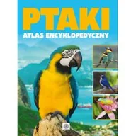 Encyklopedie i leksykony - Dragon Ptaki. Atlas encyklopedyczy praca zbiorowa - miniaturka - grafika 1