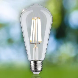 Paulmann Eco-Line rustykalna LED E27 4W 840lm - Żarówki LED - miniaturka - grafika 1