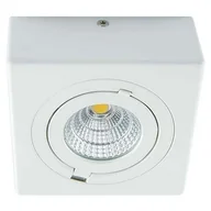 Lampy sufitowe - Ideus Oczko LAMPA natynkowa IGOR LED 9W 03128 metalowa OPRAWA sufitowa REFLEKTOREK regulowany biały - miniaturka - grafika 1