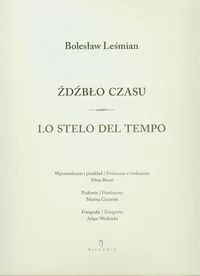 Źdźbło czasu. Lo Stelo Del Tempo - Bolesław Leśmian - Klasyka - miniaturka - grafika 1