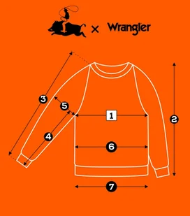 Wrangler RAGLAN SLEEVE CREW Faded bluza bawełniana damska z nadrukiem S - Bluzy damskie Wrangler RAGLAN SLEEVE CREW Faded bluza bawełniana damska z nadrukiem S - Bluzy damskie - miniaturka - grafika 1
