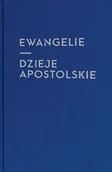 Religia i religioznawstwo - Ewangelie i Dzieje Apostolskie. (dla młodzieży) skład jednołamowy - książka - miniaturka - grafika 1