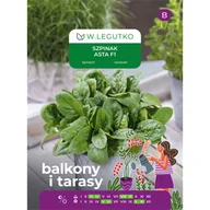 Nasiona i cebule - Szpinak Asta F1 nasiona 10g W. Legutko - miniaturka - grafika 1