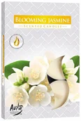 Świece - Podgrzewacz zapachowe kwiat jaśmin Pakowany 6 szt - miniaturka - grafika 1
