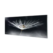 Dekoracje domu - Panel szklany Kropla dmuchawiec makro 125x50 cm - miniaturka - grafika 1