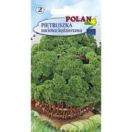 Nasiona i cebule - Pietruszka Moss Curled Polan - miniaturka - grafika 1