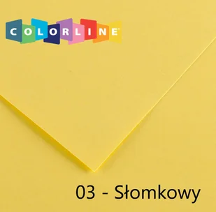 Canson Karton rys. (C) 50x65 op.25 - słomkowy 03 - Szkolne artykuły papiernicze - miniaturka - grafika 1