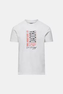 Koszulki sportowe męskie - Diadora T-shirt - Biały - Mężczyzna - L (L) - DD-502.175258 - grafika 1