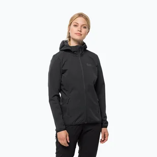 Kurtka softshellowa damska Jack Wolfskin Bornberg Hoody - Odzież trekkingowa damska - miniaturka - grafika 1
