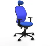 Fotele i krzesła biurowe - Krzesło Biurowe z Zagłówkiem Jorquera Piqueras y Crespo 1D036N1 Niebieski - miniaturka - grafika 1