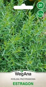 Nasiona i cebule - Estragon 0,2g nasiona - WegAna - miniaturka - grafika 1