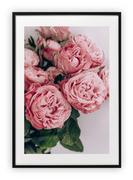 Plakaty - Plakat A4 21x30 cm  Kwiaty rózowe flowers WZORY - miniaturka - grafika 1
