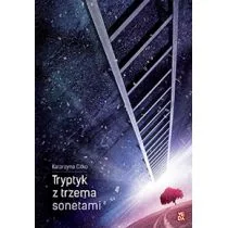 Tryptyk z trzema sonetami  - Katarzyna Citko - Poezja - miniaturka - grafika 1