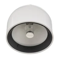 Lampy sufitowe - FLOS Lampa sufitowa designerska WAN, możliwość ściemniania, biały / opal, salon / jadalnia, aluminium, design - miniaturka - grafika 1