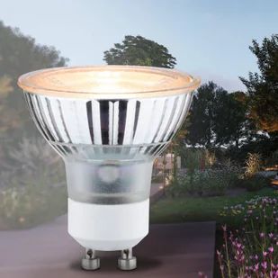 Paulmann Reflektor LED GU10 4,3W 2200 K - Żarówki LED - miniaturka - grafika 3