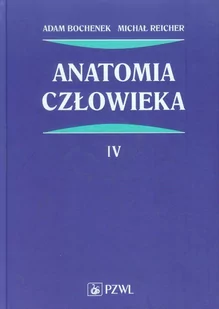 Wydawnictwo Lekarskie PZWL Anatomia człowieka Tom 4 - Adam Bochenek, Michał Reicher - Książki medyczne - miniaturka - grafika 1