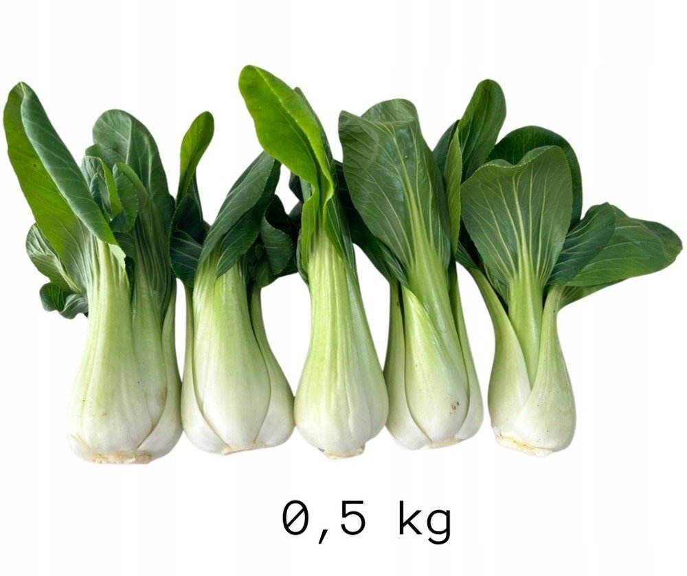 Kapusta Pak Choi Mini 2 sztuki