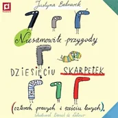 Audiobooki - lektury - Niesamowite przygody 10 skarpetek Justyna Bednarek - miniaturka - grafika 1