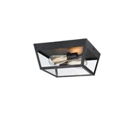 Lampy ogrodowe - Westinghouse 61219 - Plafon zewnętrzny PETERSON 2xE27/40W/230V IP44 - miniaturka - grafika 1