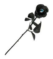 Gadżety dla niej i dla niego - Guirca Dekoracja &quot;Róża z Okiem&quot; czarny FunnyFashion GU19964 - miniaturka - grafika 1