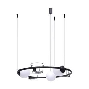 Lampa wisząca PLANT 3 5005 - Zuma Line - Lampy sufitowe - miniaturka - grafika 1