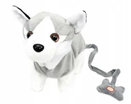 Maskotki i pluszaki - Norimpex Pies na smyczy Husky 32cm NO-1002315 - miniaturka - grafika 1