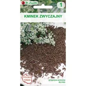 Nasiona i cebule - Kminek zwyczajny W.Legutko - miniaturka - grafika 1