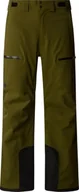 Spodenki męskie - THE NORTH FACE Męskie spodnie czakal, Forest Olive, XL - miniaturka - grafika 1
