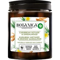 Świece - Air Wick Świeca zapachowa z wosku naturalnego o zapachu Karaibskiego Wetiweru & Drzewa Sandałowego - miniaturka - grafika 1