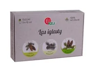 Aromaterapia - Zestaw olejków eterycznych Las iglasty, 3 x 10 ml - miniaturka - grafika 1