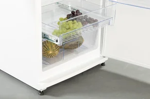 Lodówka Snaige C31SM-T1002E1 - Lodówki - miniaturka - grafika 1