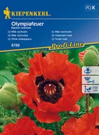 Nasiona i cebule - Mak Wschodni Olympiafeuer - miniaturka - grafika 1