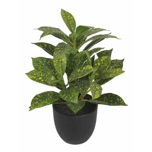 SPLENDID Aucuba sztuczna 30cm w doniczce - Sztuczne kwiaty - miniaturka - grafika 1