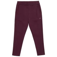 Spodnie męskie - Spodnie Dresowe Męskie 4F H4Z21-SPMD017 BURGUND-XL - miniaturka - grafika 1