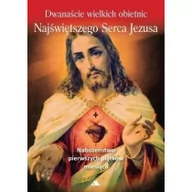 Religia i religioznawstwo - Dwanaście wielkich obietnic Najświętszego Serca Jezusa - miniaturka - grafika 1