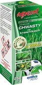 Preparaty na chwasty i szkodniki - Dicolen 200 EC zwalcza chwasty na trawniku 250 ml Agrecol - miniaturka - grafika 1