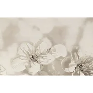 Płytki ceramiczne - Dekor RAFFI LIGHT GREY FLOWER 40 x 50 - miniaturka - grafika 1