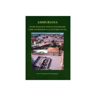 Kulturoznawstwo i antropologia - Ammuriana Wyspa w świetle wykopaliskL isola di Murano alla luce degli scavi - książka - miniaturka - grafika 1