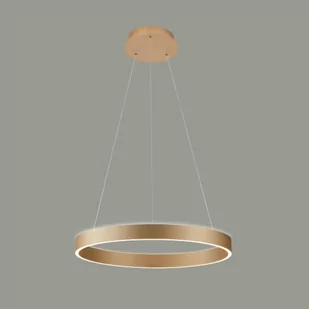 Brasco Up Down D80 lampa wisząca 2xLED/80W złota - Lampy sufitowe - miniaturka - grafika 2