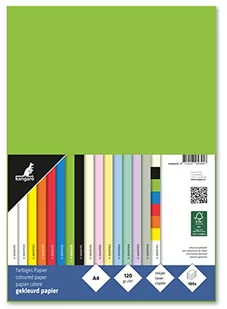 Papier Kangaro A4 120 grs zielony opakowanie 100 arkuszy - Kalki - miniaturka - grafika 1