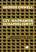 E-booki obcojęzyczne - Czy naprawdę schamieliśmy? - miniaturka - grafika 1