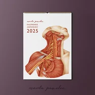 Kalendarze - Kalendarz Anatomiczny 2025 - miniaturka - grafika 1