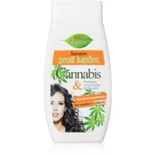 Szampony do włosów - Bione Cosmetics Bio Cannabis szampon przeciwłupieżowy dla kobiet 260ml - miniaturka - grafika 1
